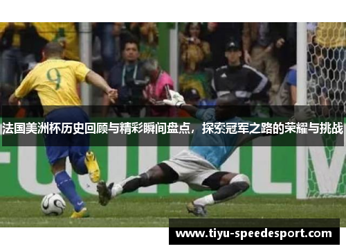 法国美洲杯历史回顾与精彩瞬间盘点，探索冠军之路的荣耀与挑战
