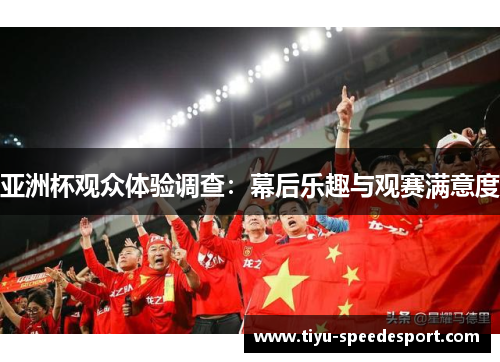 亚洲杯观众体验调查：幕后乐趣与观赛满意度