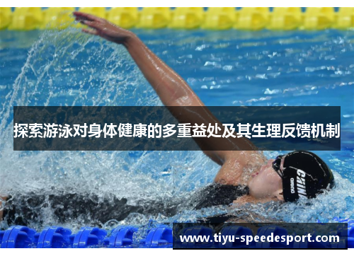 探索游泳对身体健康的多重益处及其生理反馈机制