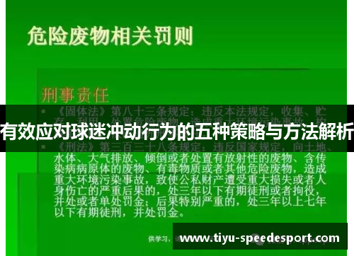 有效应对球迷冲动行为的五种策略与方法解析
