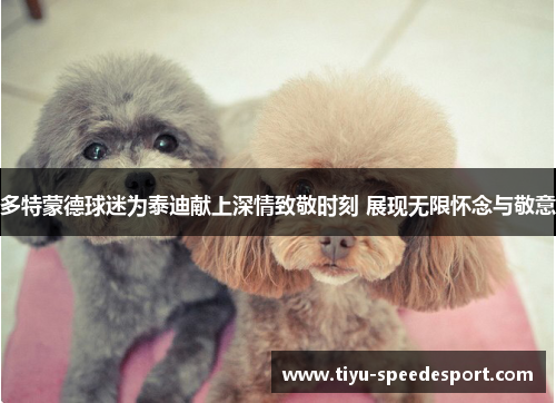 多特蒙德球迷为泰迪献上深情致敬时刻 展现无限怀念与敬意