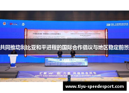 共同推动利比亚和平进程的国际合作倡议与地区稳定前景