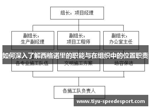 如何深入了解西格诺里的职能与在组织中的位置职责