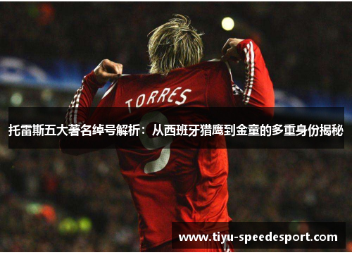 托雷斯五大著名绰号解析:从西班牙猎鹰到金童的多重身份揭秘 托雷斯五大著名绰号解析:从西班牙猎鹰到金童的多重身份揭秘