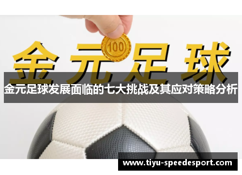 金元足球发展面临的七大挑战及其应对策略分析