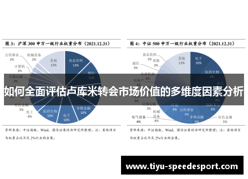 如何全面评估卢库米转会市场价值的多维度因素分析 如何全面评估卢库米转会市场价值的多维度因素分析